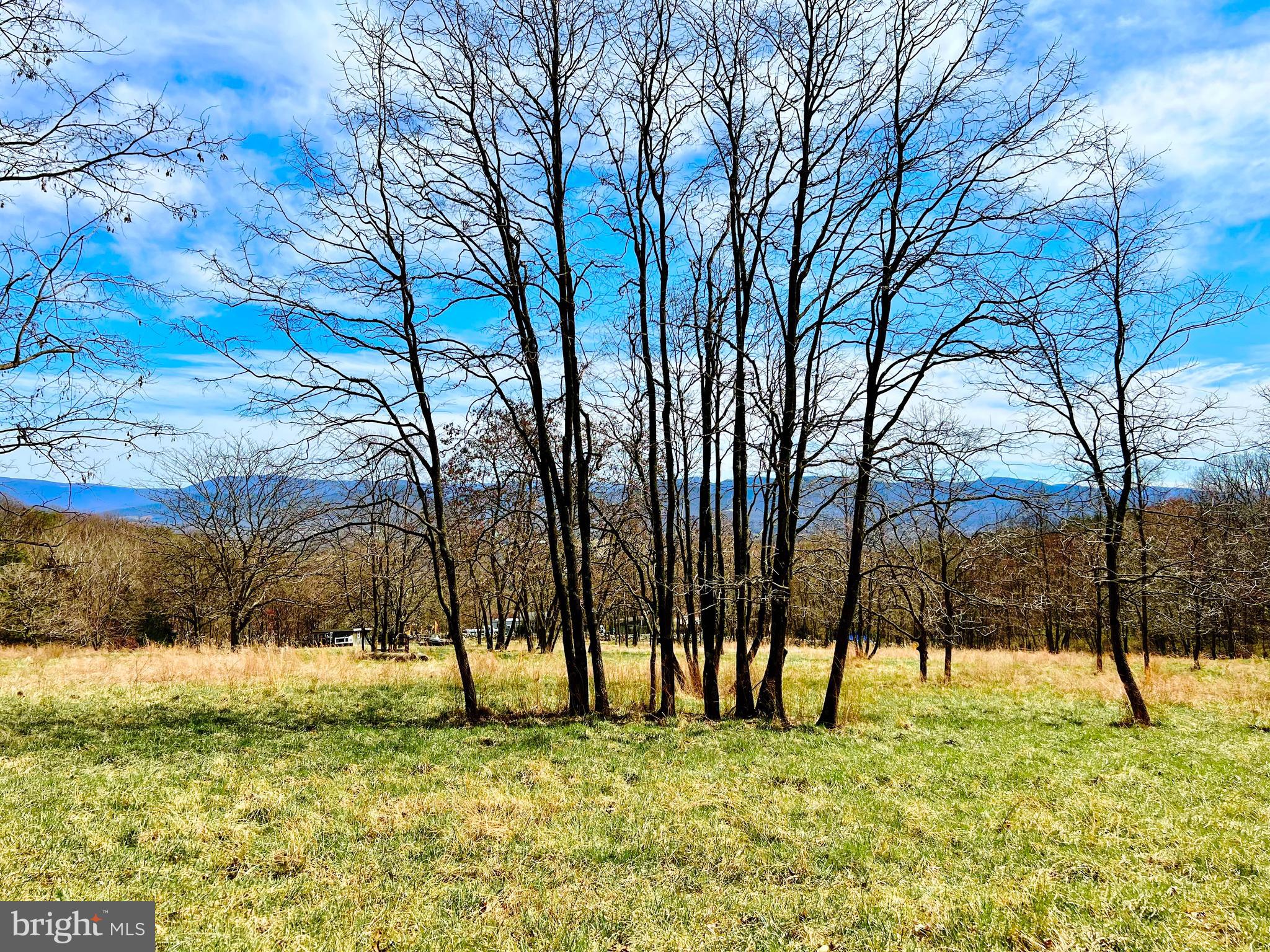 Washington Metro Area Real Estate | View TM 68-A-4A Sunnyside Road | room 1